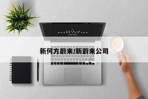 新何方蔚来/新蔚来公司