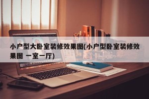 小户型大卧室装修效果图(小户型卧室装修效果图 一室一厅)