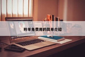 羚羊角费用的简单介绍