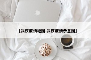 【武汉疫情地图,武汉疫情示意图】