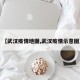 【武汉疫情地图,武汉疫情示意图】