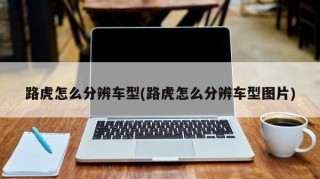 路虎怎么分辨车型(路虎怎么分辨车型图片)