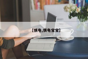 【惧龟,惧龟宝宝】