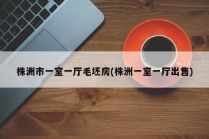 株洲市一室一厅毛坯房(株洲一室一厅出售)