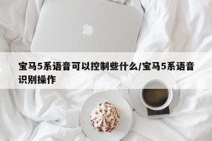 宝马5系语音可以控制些什么/宝马5系语音识别操作