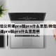 微信公开课pro版pro什么意思/微信公开课pro版pro什么意思啊