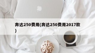 奔达250费用(奔达250费用2017款)