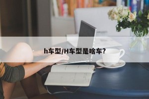 h车型/H车型是啥车?