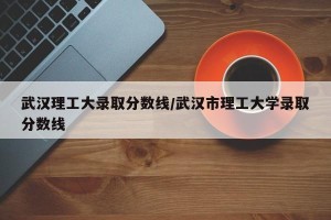 武汉理工大录取分数线/武汉市理工大学录取分数线