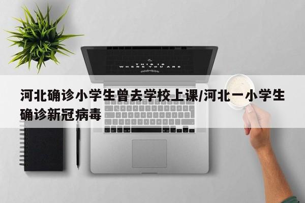 河北确诊小学生曾去学校上课/河北一小学生确诊新冠病毒