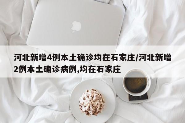 河北新增4例本土确诊均在石家庄/河北新增2例本土确诊病例,均在石家庄