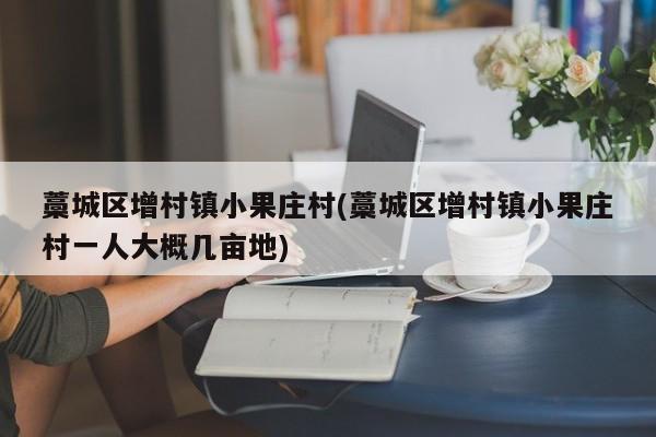 藁城区增村镇小果庄村(藁城区增村镇小果庄村一人大概几亩地)